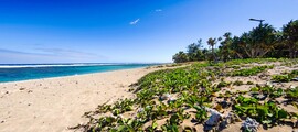 Private jet rental La Reunion