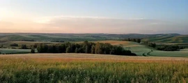 Private jet and helicopter charter in Surgut