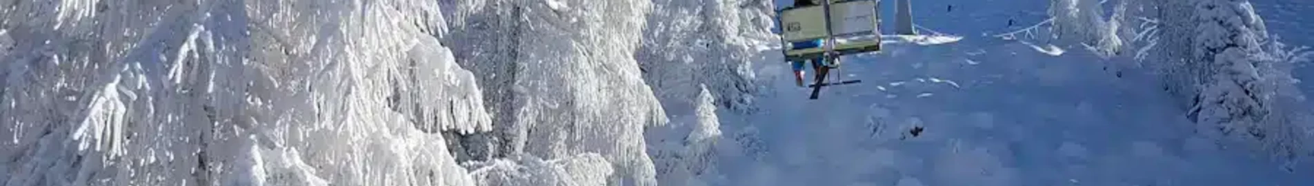 Private jet and helicopter charter in Cerklje