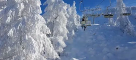 Private plane and helicopter rental in Lesce Bled