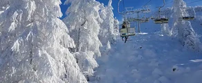 Private jet and helicopter charter in Cerklje