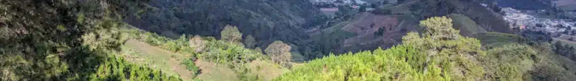 Private jet and helicopter charter in Constanza