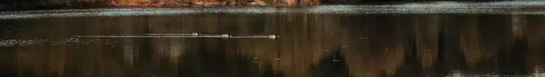 Private jet and helicopter charter in Donetsk