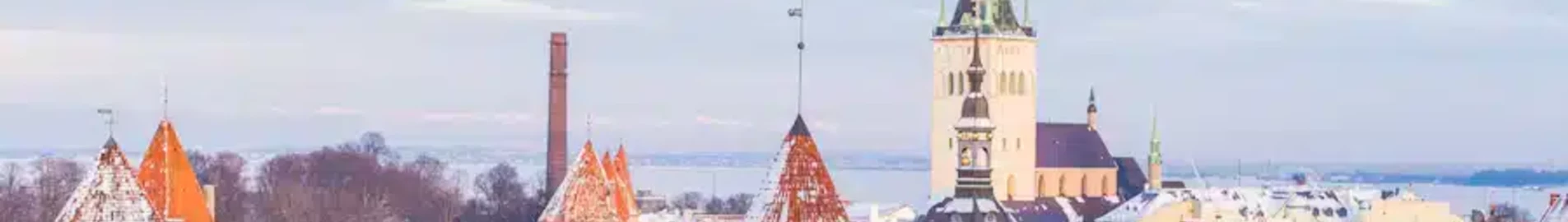 Estonia : Private jet rental