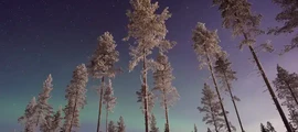 Private plane and helicopter rental in Arvika
