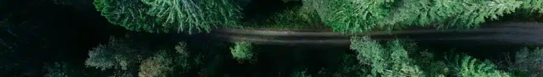 Private jet and helicopter charter in Gavle Sandviken