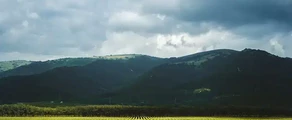 Private jet and helicopter charter in Gelendzhik