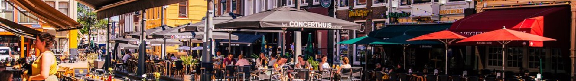 Private jet and helicopter charter in Groningen Eelde