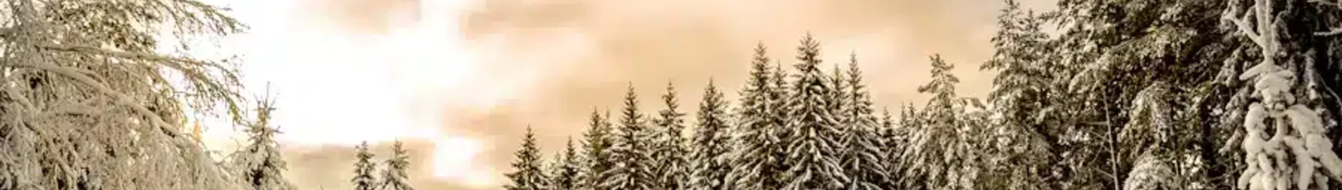 Private jet and helicopter charter in Hasslosa