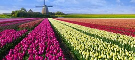 Private plane and helicopter rental in Middelburg Midden Zeeland