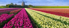 Private plane and helicopter rental in Hoogeveen