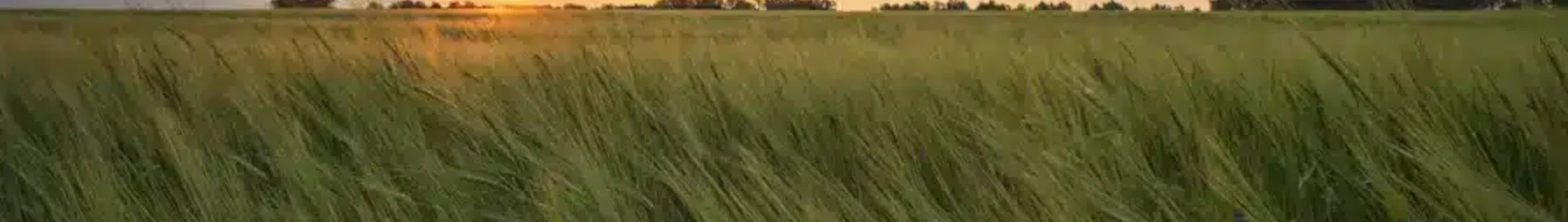 Private jet and helicopter charter in Kemerovo