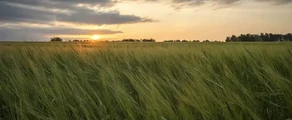 Private jet and helicopter charter in Kemerovo