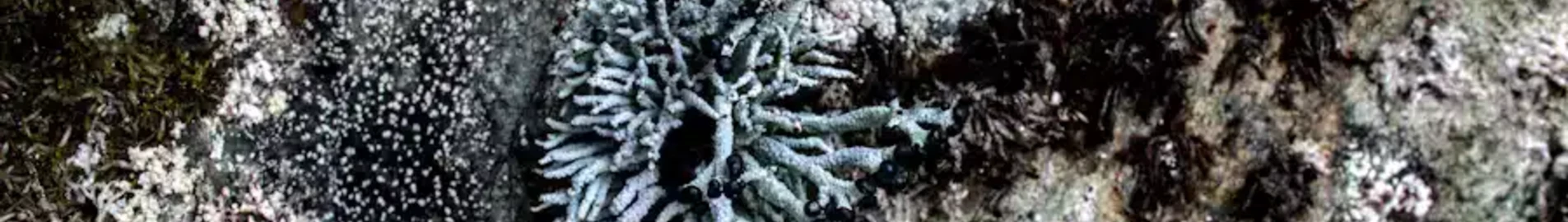 Private Jet and Helicopter Charter in Khanty Mansiysk