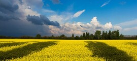 Private jet and helicopter charter in Kiev Boryspil