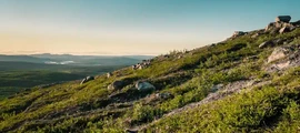 Private plane and helicopter rental in Hagfors