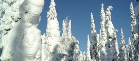Private plane and helicopter rental in Rautavaara