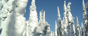 Private jet and helicopter charter in Kuusamo