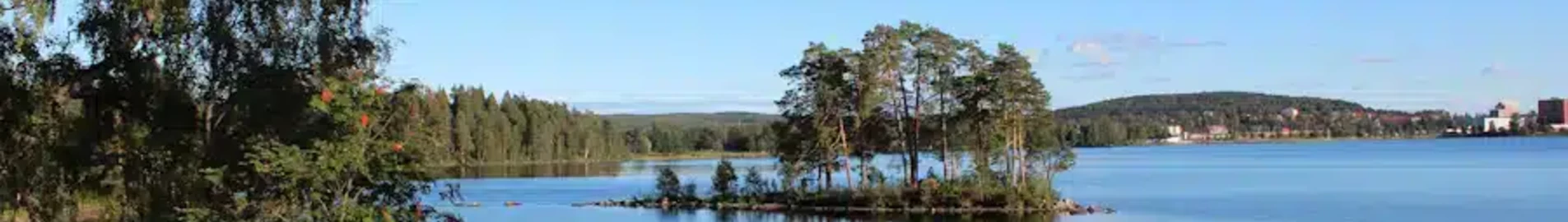 Private plane and helicopter rental in Ludvika