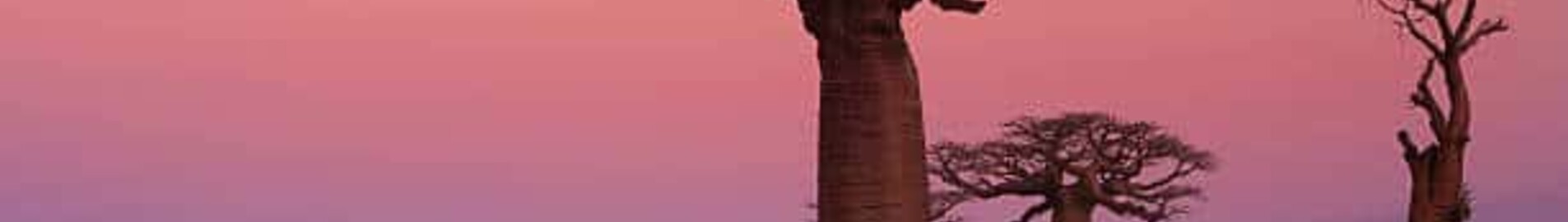 Private jet charter Madagascar