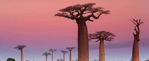 Private jet charter Madagascar