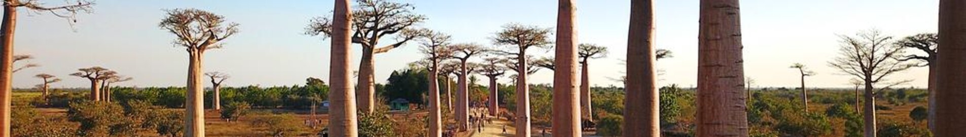 Private plane and helicopter rental in Morondava