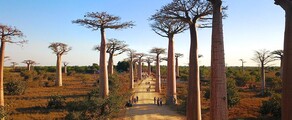 Private plane and helicopter rental in Morondava