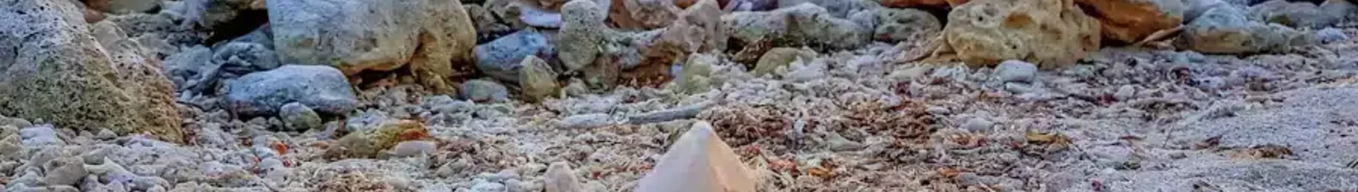 Private plane and helicopter rental in Mustique