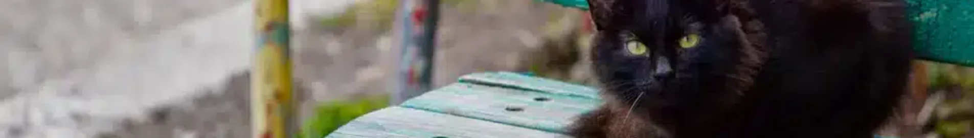 Private jet and helicopter charter in Nizhnekamsk Begishevo