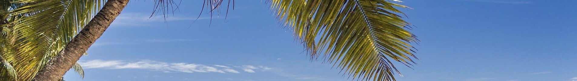 Private jet and helicopter charter in Nosy Be Fascene