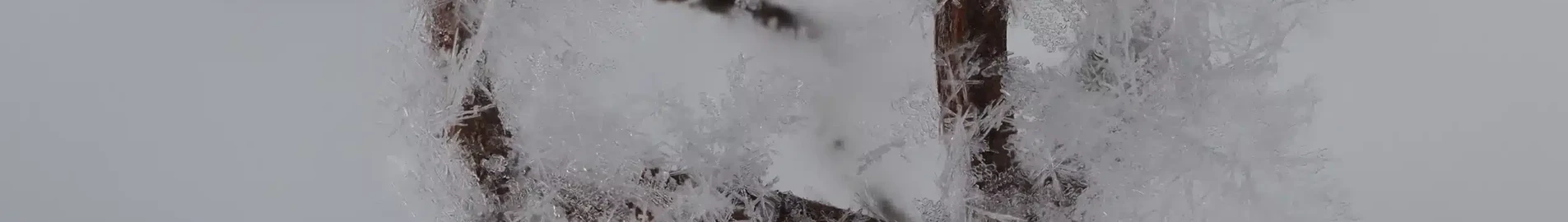 Private jet and helicopter charter in Orenburg