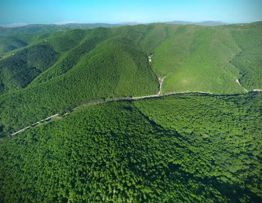 location jet privé - Collines verdoyantes avec cabanes en bois.