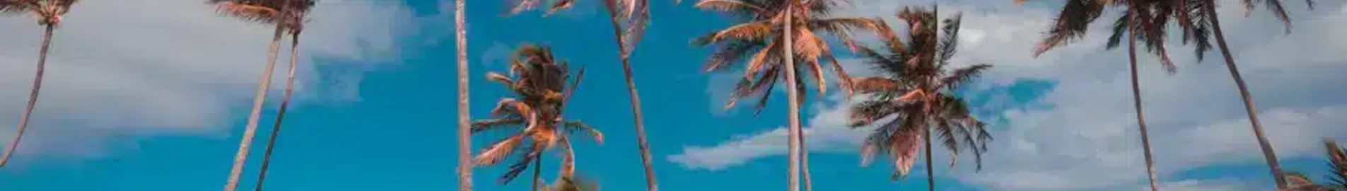 Private Jet and Helicopter Charter in Punta Cana