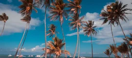 Private jet and helicopter charter in Barahona Maria Montez