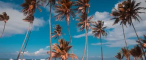 Private Jet and Helicopter Charter in Punta Cana