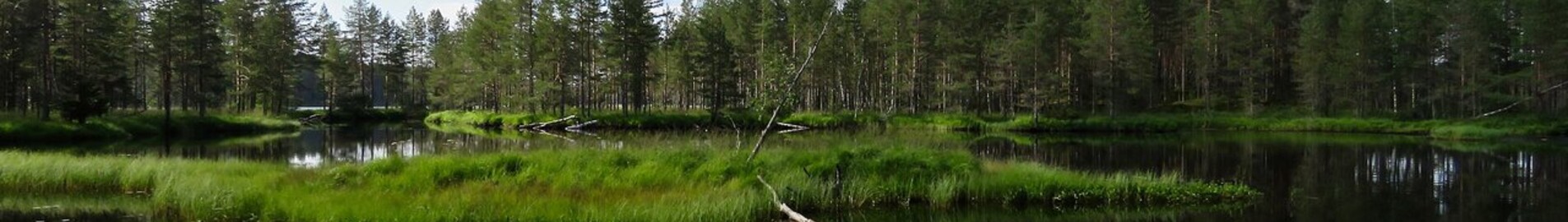 Private plane and helicopter rental in Rautavaara