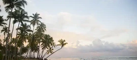Book a jet in The Caribbean By Private Plane or helicopter