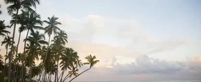 Private jet charter Dominican Republic
