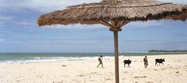 Private plane and helicopter rental in Mananara Avaratra