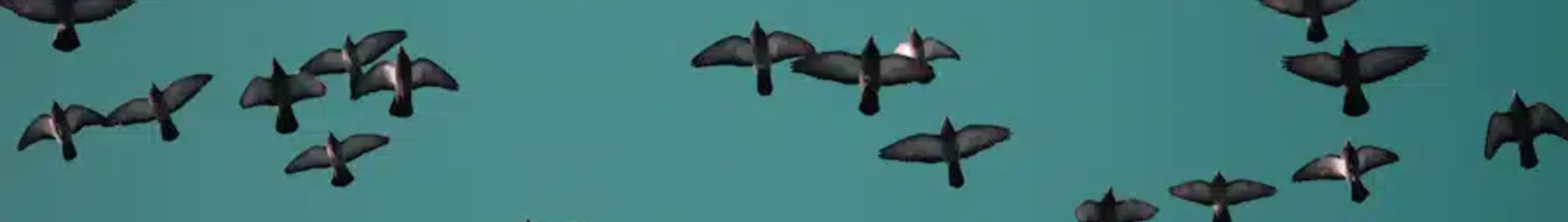 Private jet and helicopter charter in Saransk