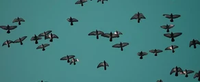 Private jet and helicopter charter in Saransk