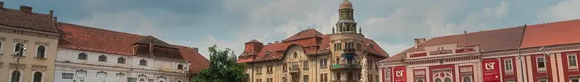 Private jet and helicopter charter in Satu Mare