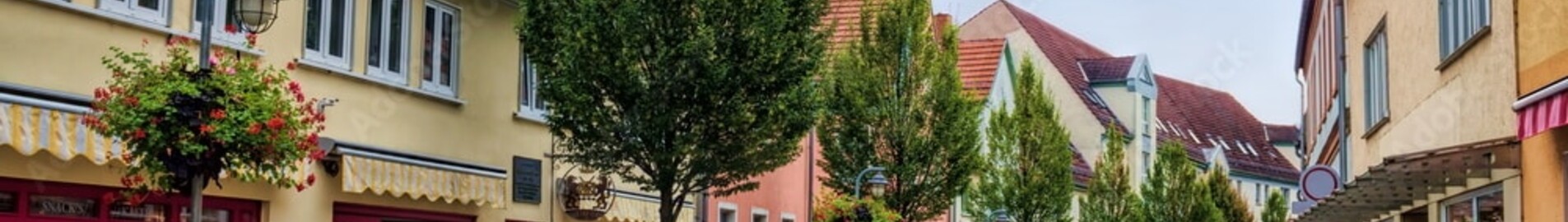 Private plane and helicopter rental in Sommerda