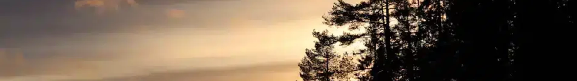 Private plane and helicopter rental in Stromsund Hallviken