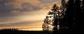 Private plane and helicopter rental in Stromsund Hallviken