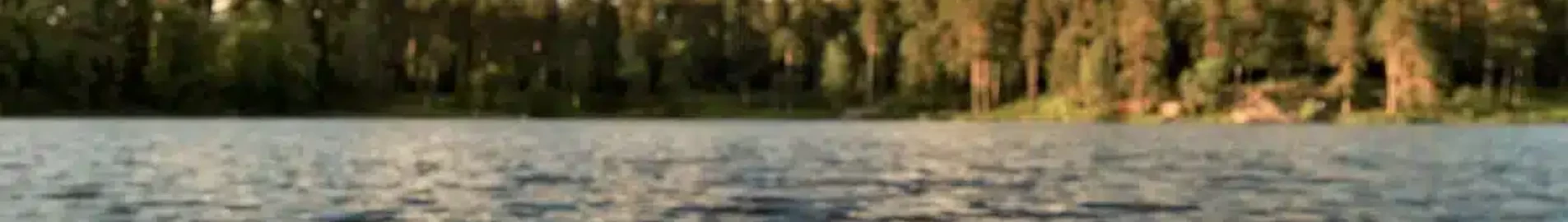 Private plane and helicopter rental in Sveg