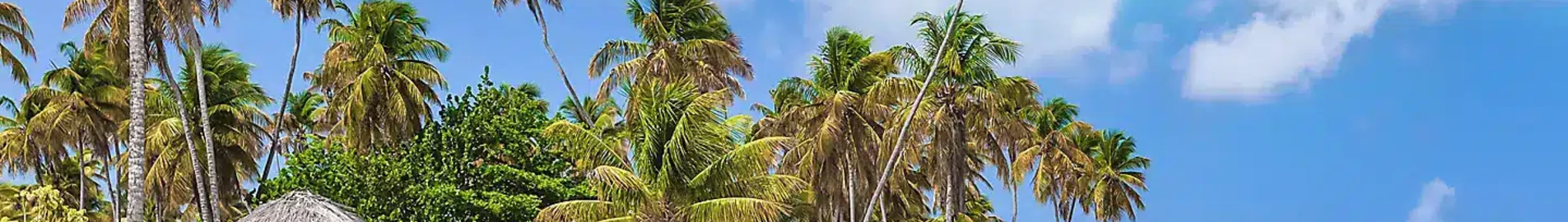 Tobago Scarborough Crown Point : Private Jet hire