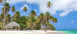 Private jet charter Trinidad & Tobago