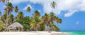 Tobago Scarborough Crown Point : Private Jet hire
