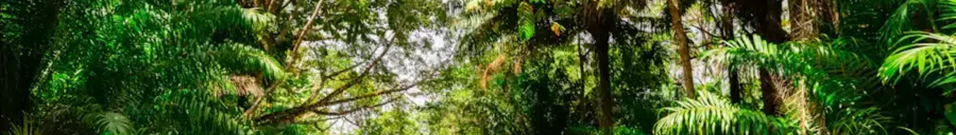 Private jet charter Trinidad & Tobago